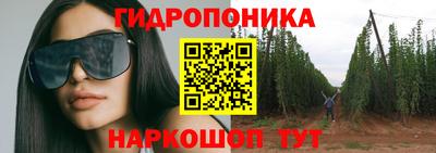 прущие крисы Донецк