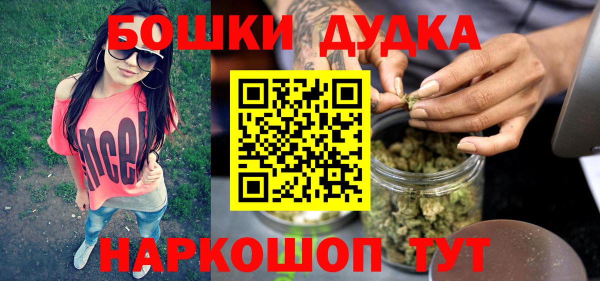Бошки Шишки планчик Коряжма